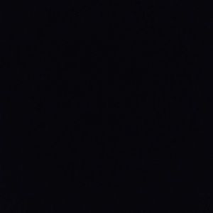 Meet your Posher, Jenensa